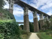 10-Year-Old Boy Charged with Attempted Murder and Rape in France Park Attack