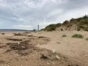 1920 Swansea Beach Murder: Sailor Confessed as Body Found Still Warm