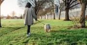 3-minute dog trainer tip transforms walks into calm experiences
