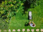 £4 Home Bargains kit keeps garden grass 'lush and green' safely