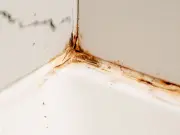 65p Baking Soda Trick to Remove Black Mould from Silicone Sealant