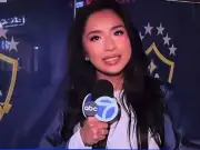 ABC reporter apologises for 'inappropriate' Bosnia comments before World Cup clash
