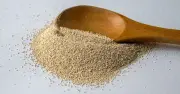 Active vs Instant Yeast: Key Differences Explained for Bakers