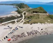 Albania Flamingo Wetlands at Risk from Trump Family Resort Plan