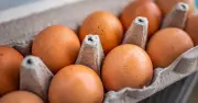 Aldi confirms eggs last longer without going bad if stored in freezer