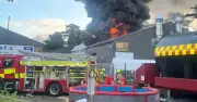 All Animals Killed in Fire at The Jungle Box Mini-Zoo in UK
