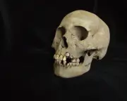 Ancient DNA Reveals Earliest Plague Outbreak in Siberian Hunter-Gatherers