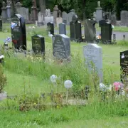 Anger over overgrown grass at Paisley's Hawkhead Cemetery