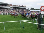 Ayr Racecourse Structural Issues Pose No Immediate Public Risk Says Council