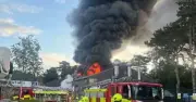 Baby Tortoise Only Survivor of Devastating UK Zoo Fire