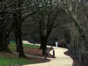 Balaclava-Wearing E-Bikers Attack and Rob People on Cardiff's Taff Trail