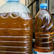 Binman Settles Debate on Used Cooking Oil Disposal: Not Food Waste