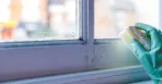 Black Mould Removal: 1 Teaspoon of Natural Ingredient Works Wonders