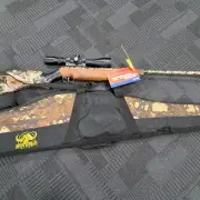 Blyth man banned from owning firearms after powerful air rifle found