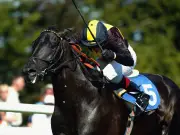 British Champion Jumps Stallion Passing Glance Dies at 27