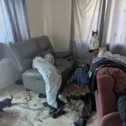 Briton Ferry man banned from keeping animals after cats found in filthy flat