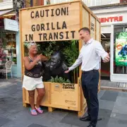 Caesar the Fibreglass Gorilla Finds New Home at Flight Centre After Council Eviction