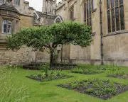 Cambridge Recreates 336-Year-Old Garden of Naturalist John Ray