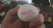 Check Eggs for 8-Digit Code to Avoid Salmonella Risk