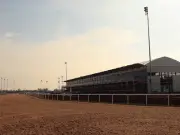 Chelmsford City Racecourse Remains Closed After Licence Appeal Dismissed