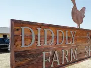 Clarkson's Farm Diddly Squat Location: How to Get There Explained