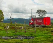 Colombian Town Wins Landmark Battle Against Coca-Cola Femsa Over Water Rights