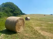Country Diary: Haymaking Race Against Time Amidst Unpredictable British Weather