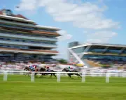 Cremation Ashes Left at Newbury Racecourse Burger Van to Be Buried