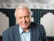 David Attenborough Urges UK Cat Owners: Fit a Bell to Save Birds