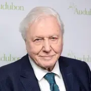 David Attenborough's Breakfast Linked to Anti-Ageing and Brain Health at 100
