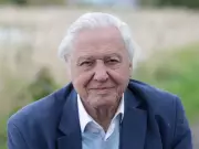 David Attenborough's Simple Fence Hack to Help Hedgehogs This Summer
