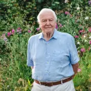 David Attenborough's Urgent Advice for UK Cat Owners to Save Birds