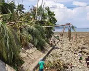 Deadly Philippines Earthquake Raised Seabed by 2 Metres, Killing Marine Life