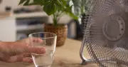 Dehydration vs Thirst: Expert Tips for UK Heatwave Hydration