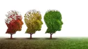 Dementia Patients Overlooked: Letters on Fighting Stereotypes