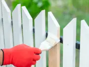 DIY Hack: Paint Fences in Minutes with a 46p Sponge, No Brushes Needed