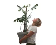 Does Talking to Plants Help Them Grow? Houseplant Hacks Explored
