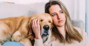 Dog Owners Warned of £500 Fine from June 29 Under New Act