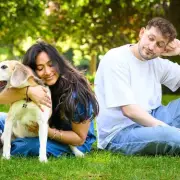 Dog Prefers Your Partner? Expert Confirms Spare Human Syndrome