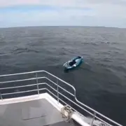 Dog rescued after inflatable kayak blown out to sea off Northumberland coast