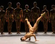 Edinburgh Festival 2026: Top Dance and Circus Shows to See