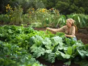 Eggshells and Kitchen Scraps: Natural Ways to Deter Slugs from Your Garden