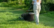 Expert warns: Essential lawn mowing precautions after rain