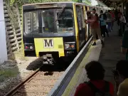 Farewell to Tyne and Wear Metro's original fleet brings mixed emotions for passengers