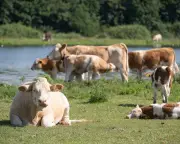 Farmers Slam UK Government Plan as Climate Crisis Threatens Food Security