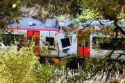 Fatal Train Crash Could Have Been Avoided If Driver Used Emergency System