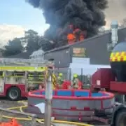 Fire at Children's Mini Zoo Kills All Animals in Hertfordshire
