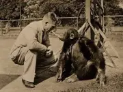 Forgotten Liverpool Zoo: The Smoking Chimp That Terrorised a School