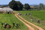 Four Migrant Farm Workers Burned Alive in Italy Minivan Attack