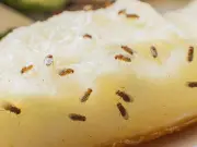 Fruit Fly Hack: Rinse Banana Stems Under Water to Banish Pests
